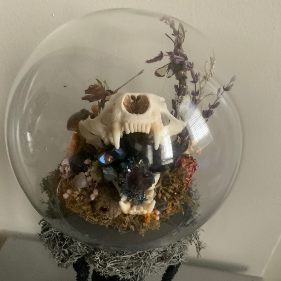 Custom hand crafted real skull, crystal,floral and butterfly globe - Picture 3 of 3